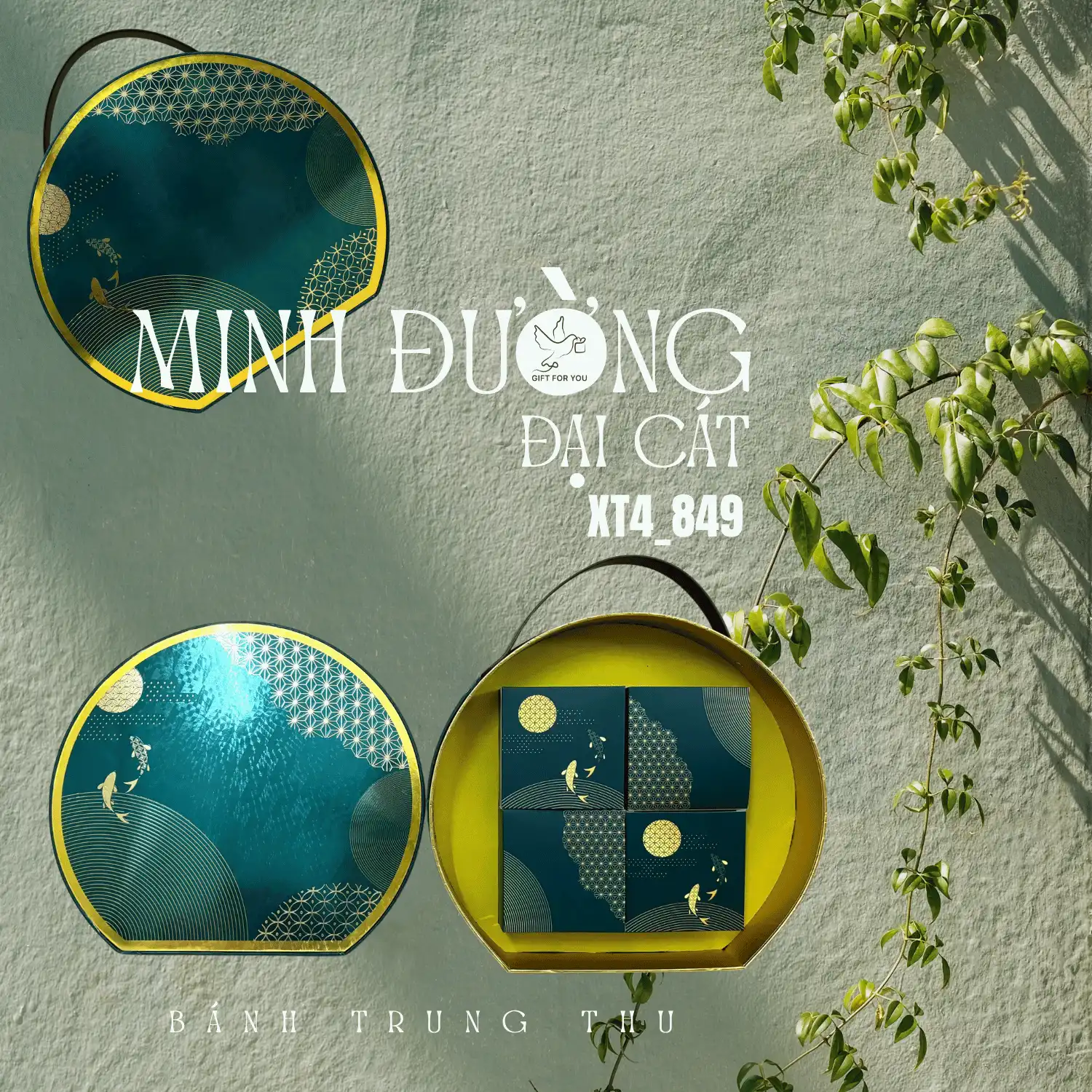 TRUNG THU 2025 - MINH ĐƯỜNG ĐẠI CÁT _ XT4_849