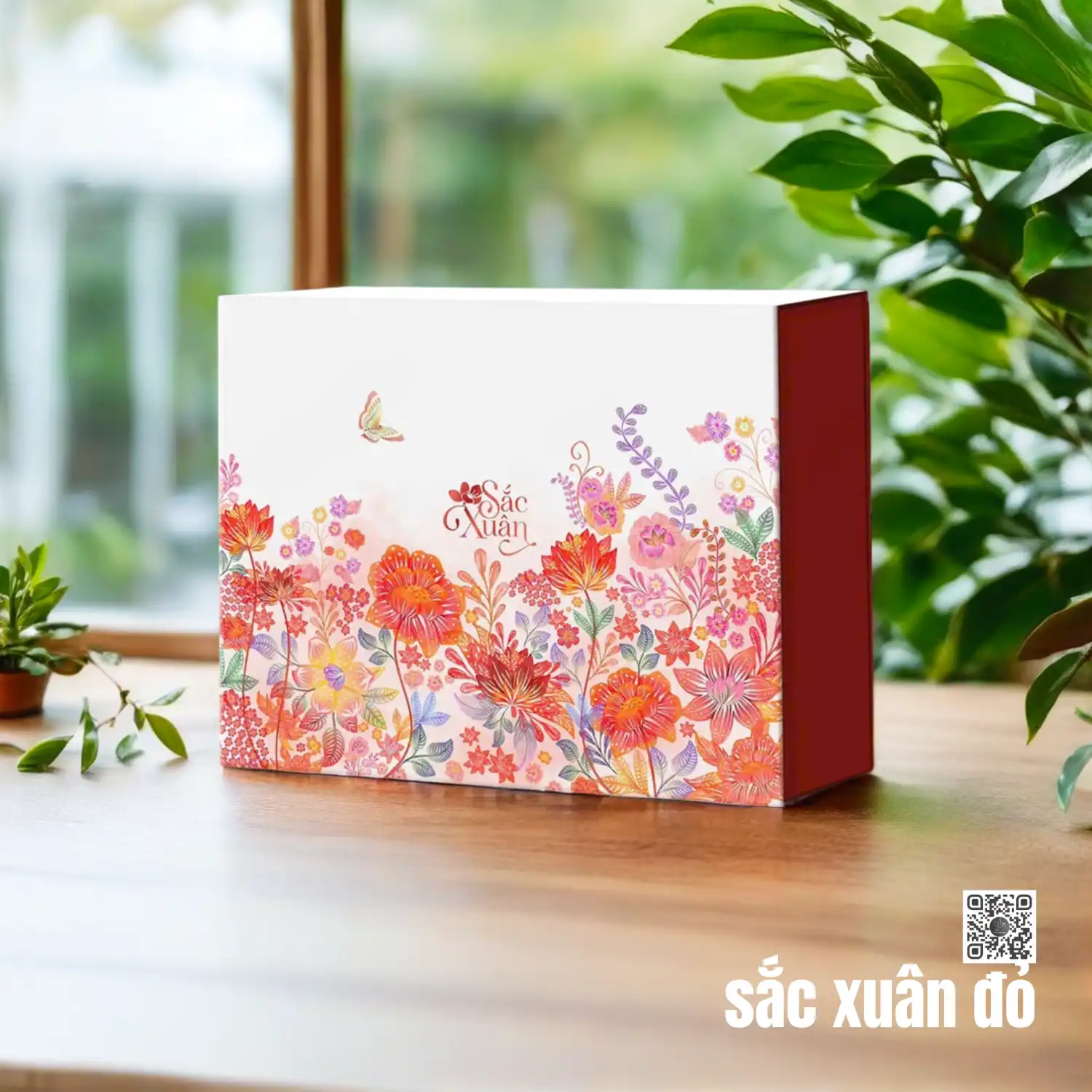 SẮC XUÂN_VB_H987 - Ảnh 5