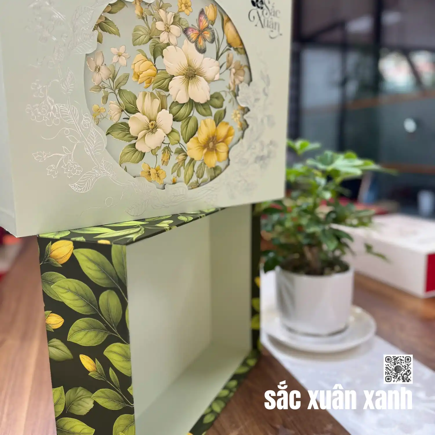 SẮC XUÂN_VB_H987 - Ảnh 3