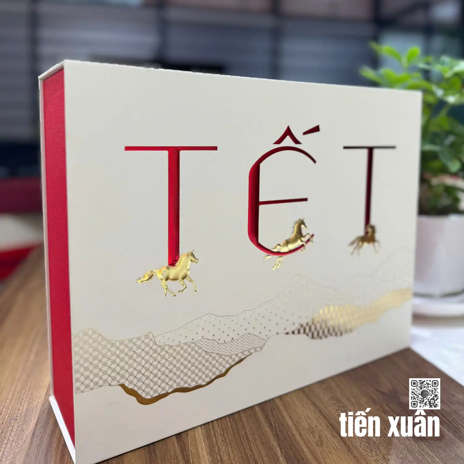 TIẾN XUÂN _VB_T1429 - Ảnh 5