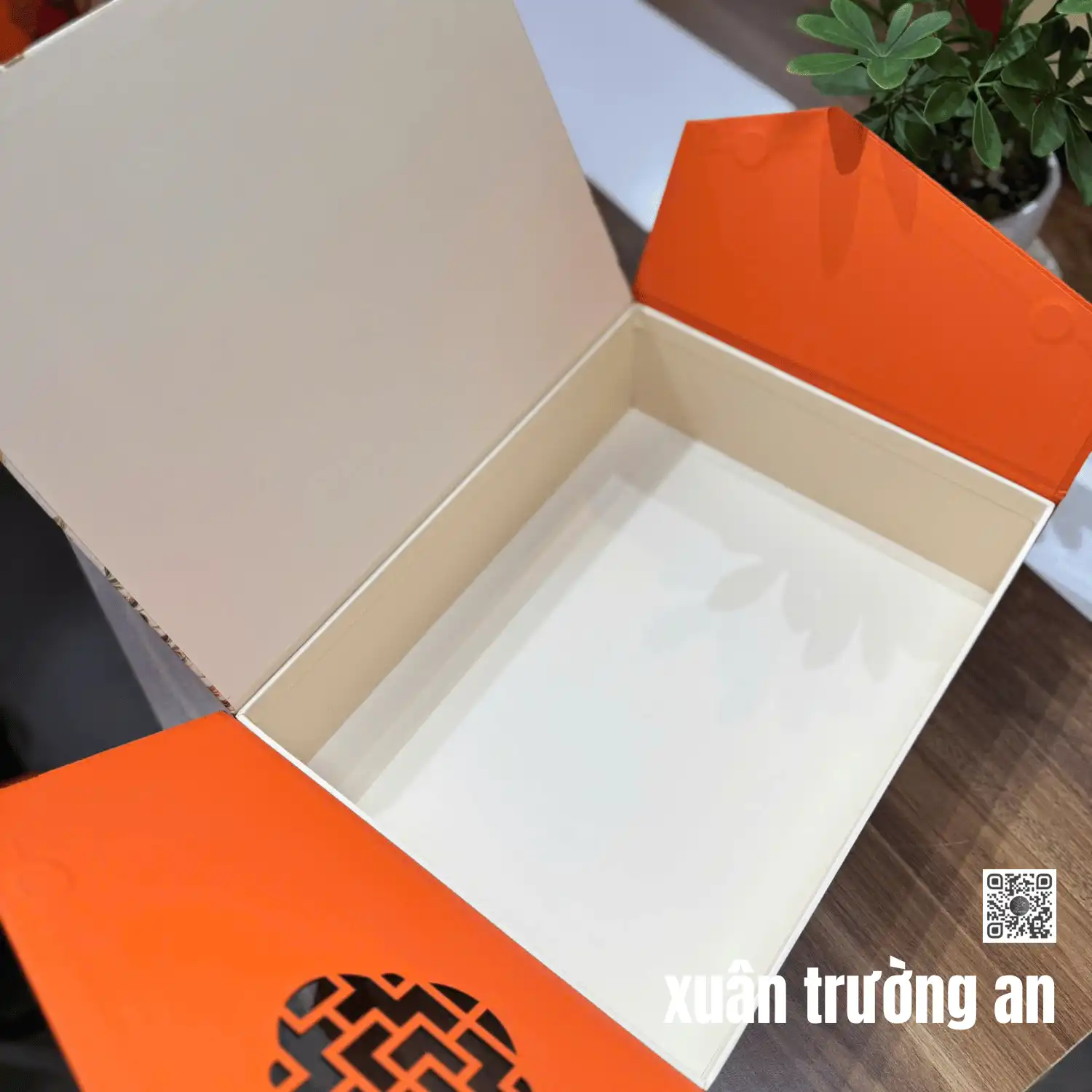 XUÂN TRƯỜNG AN _KX1189 - Ảnh 5