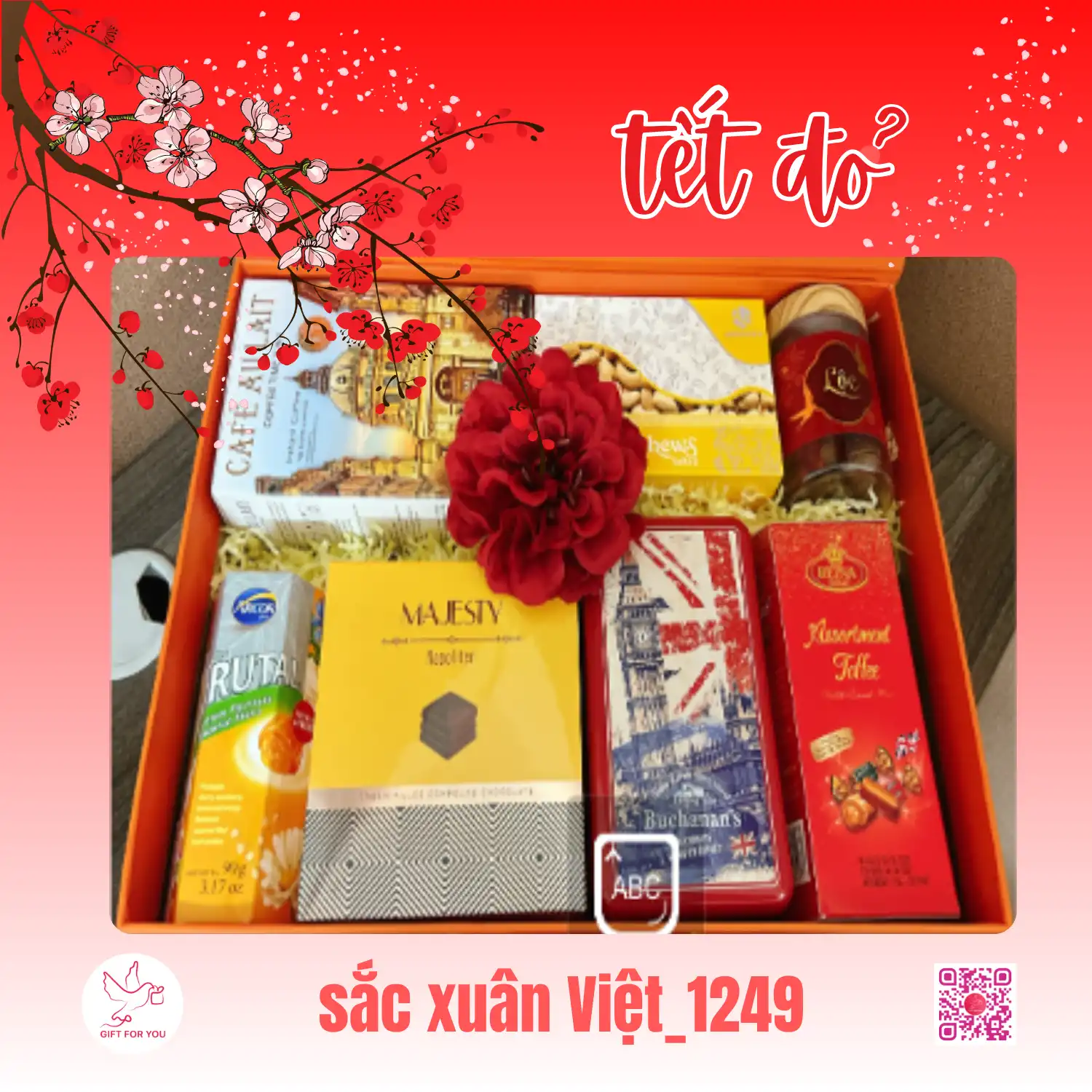 SẮC XUÂN VIỆT_VLC 1249