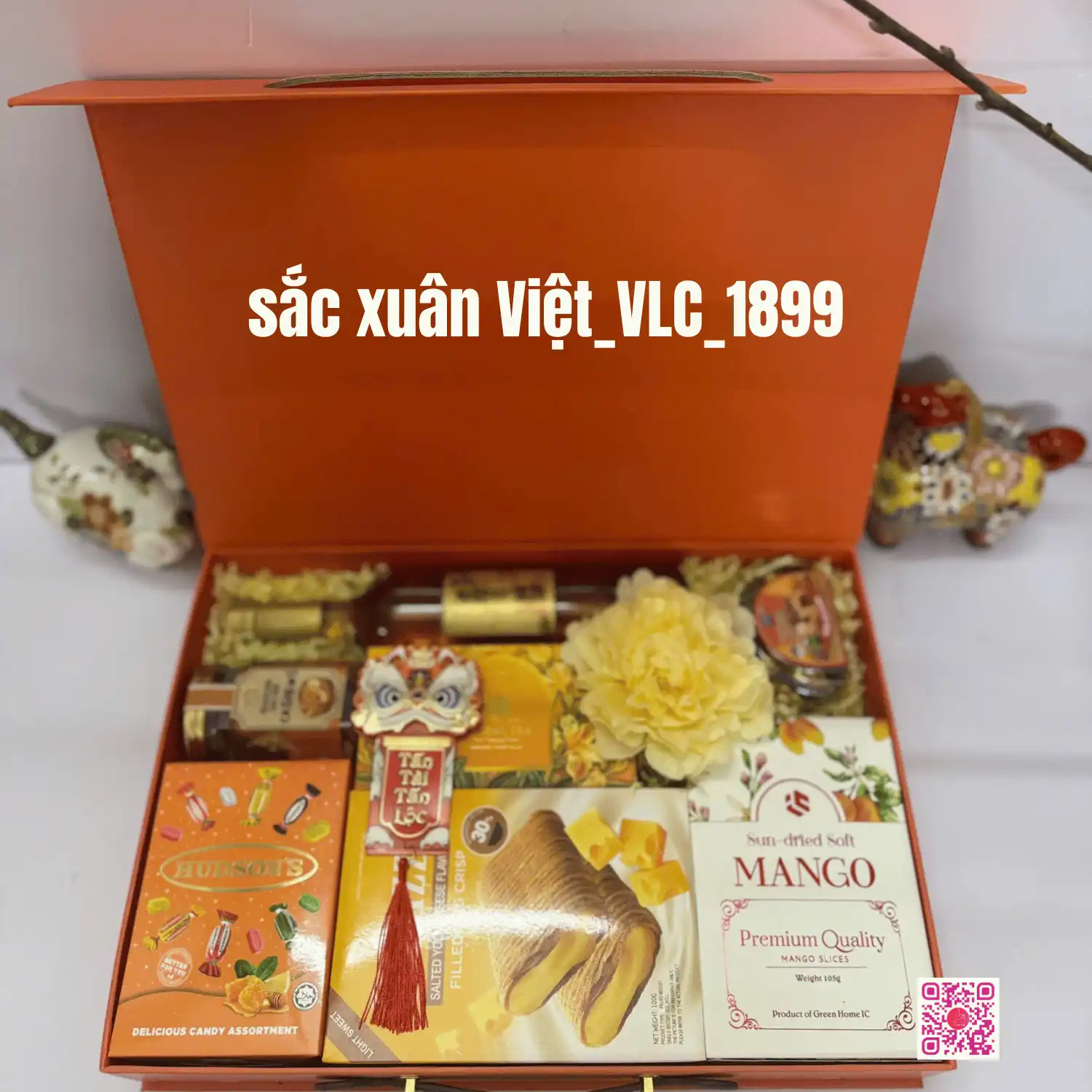 SẮC XUÂN VIỆT_VLC_1899